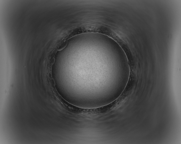 X0000086980817200704161446