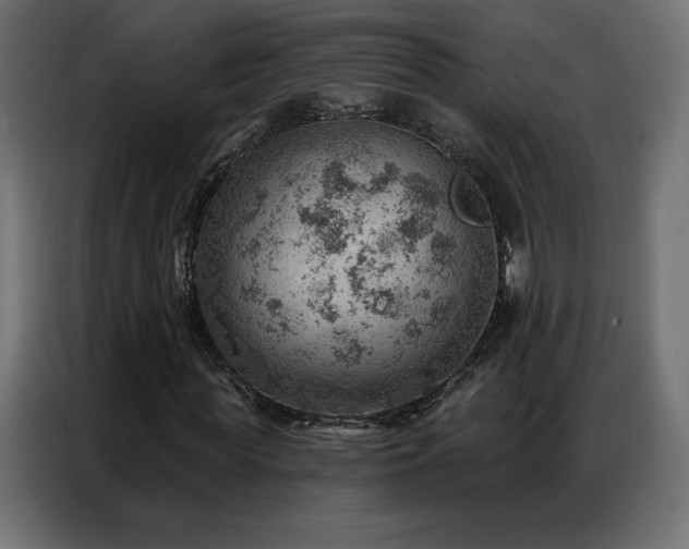 X0000086980819200704161446