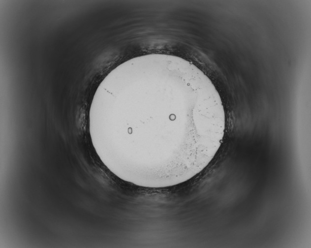 X0000086980820200704161446
