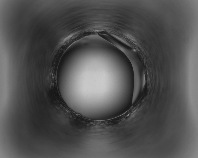 X0000086980822200704161446