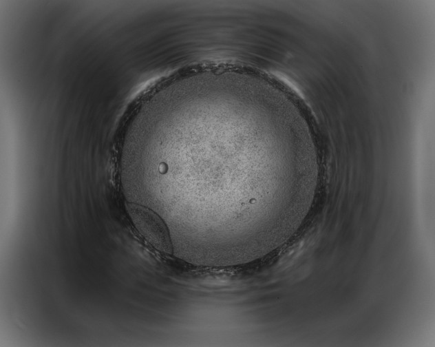 X0000086980823200704161446