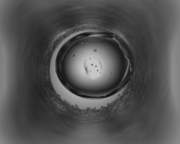 X0000086980824200704161446