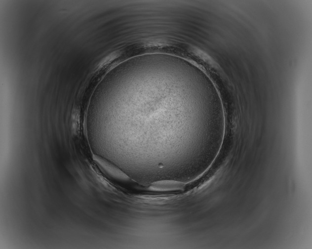 X0000086980825200704161446