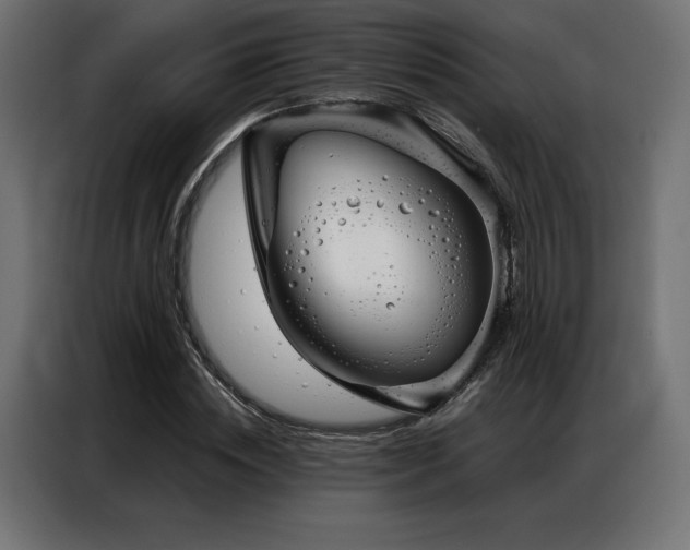 X0000086980828200704161446