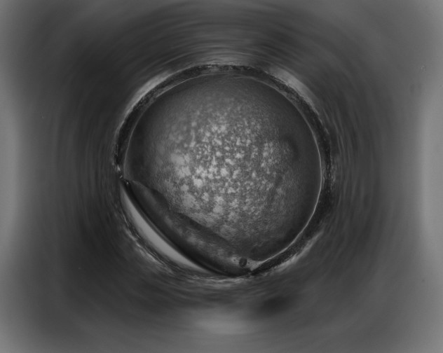 X0000086980829200704161446
