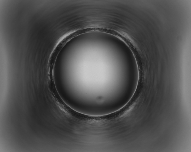 X0000086980830200704161446