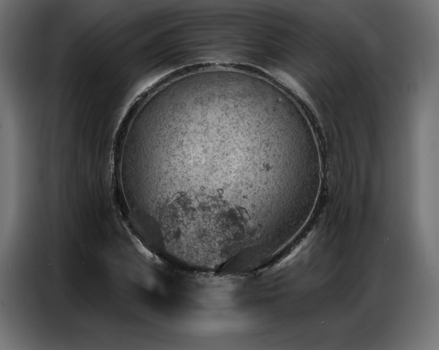 X0000086980831200704161447