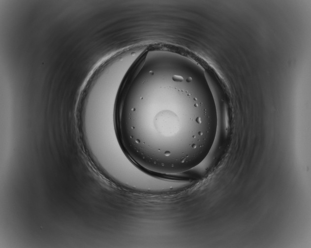 X0000086980832200704161447