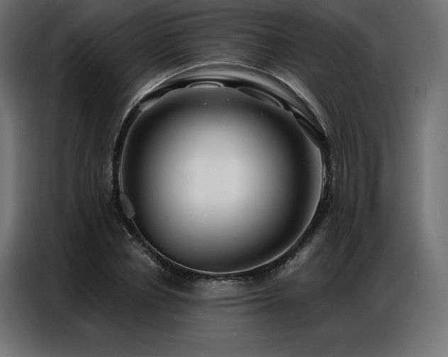 X0000086980834200704161447
