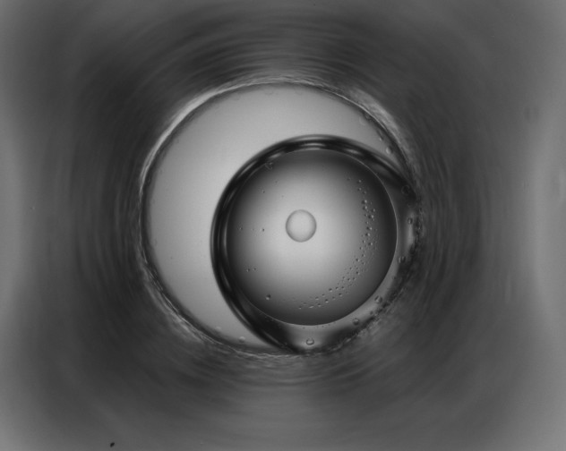 X0000086980836200704161447