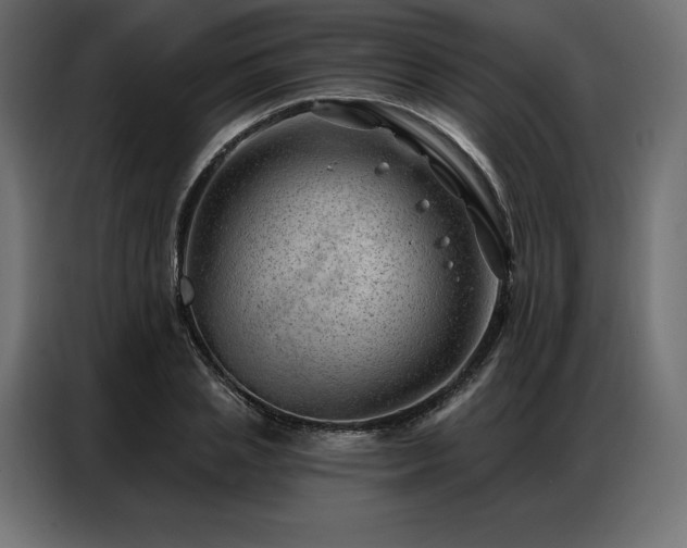 X0000086980837200704161447