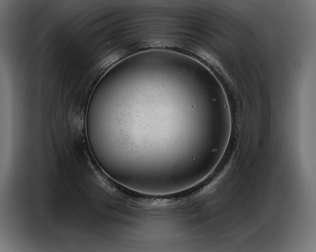 X0000086980841200704161447