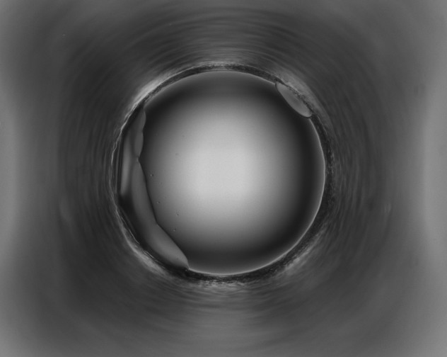X0000086980842200704161447