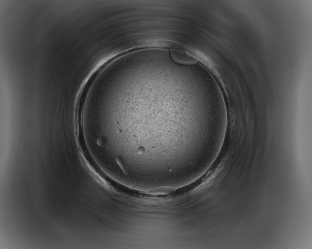 X0000086980843200704161447