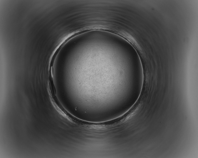 X0000086980844200704161447