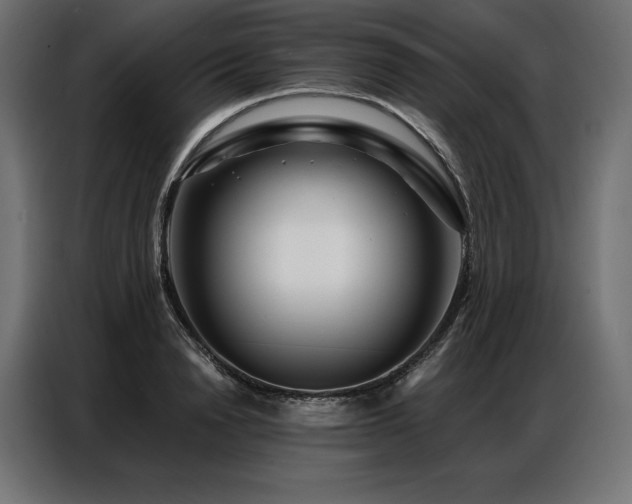 X0000086980846200704161447