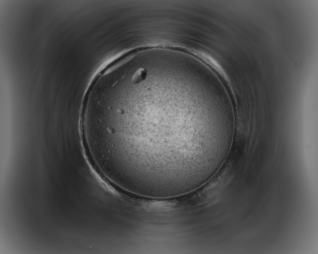 X0000086980847200704161447