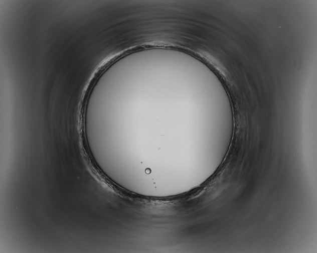 X0000086980848200704161447