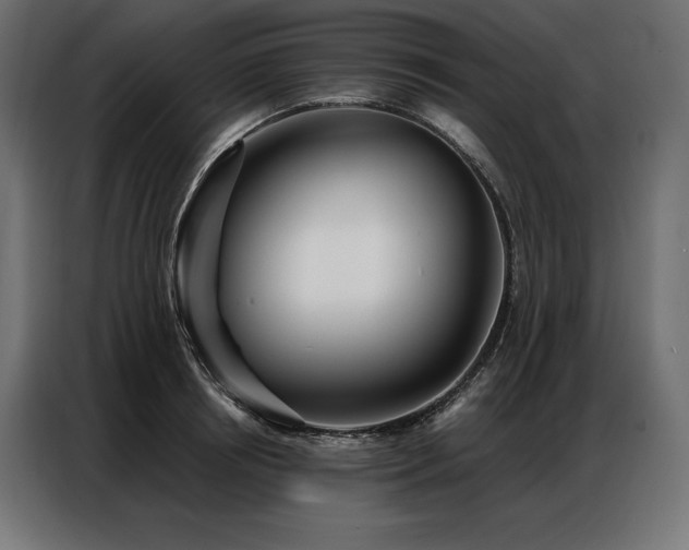 X0000086980850200704161447