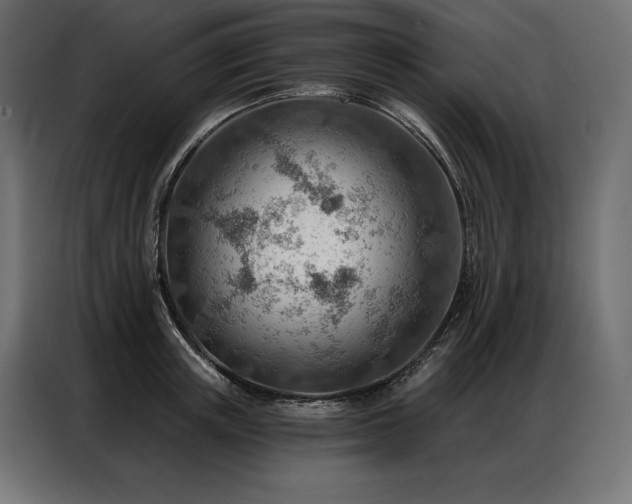X0000086980851200704161447
