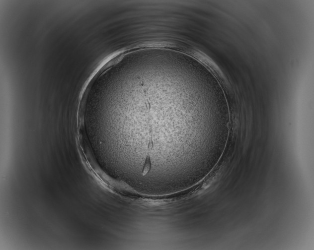 X0000086980852200704161447