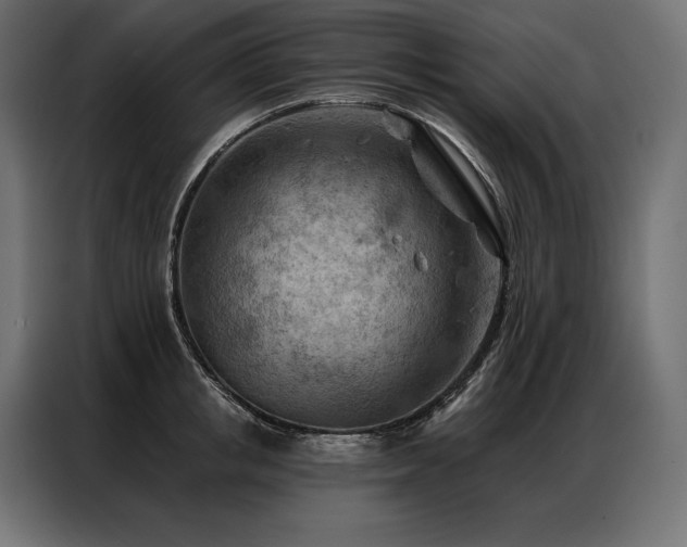 X0000086980853200704161447