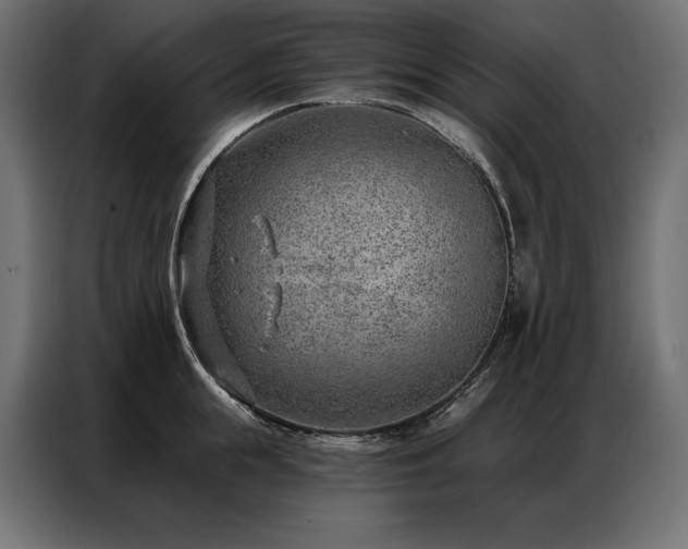 X0000086980855200704161447