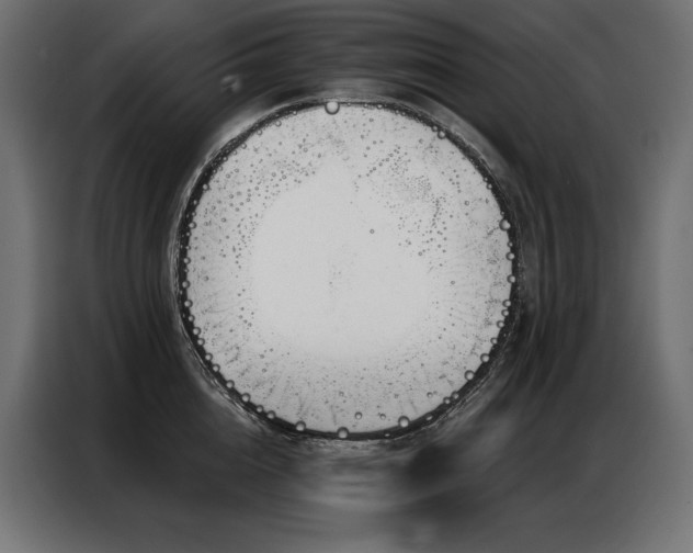 X0000086980856200704161447
