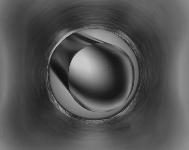 X0000086980860200704161447