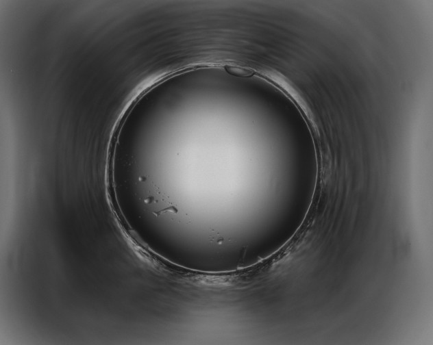 X0000086980861200704161447