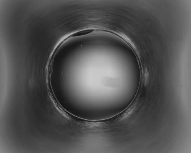 X0000086980862200704161447