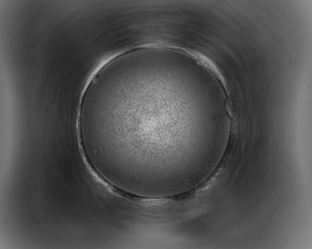 X0000086980863200704161447