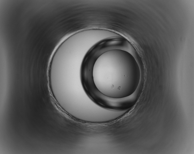 X0000086980864200704161447