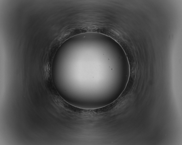 X0000086980866200704161446