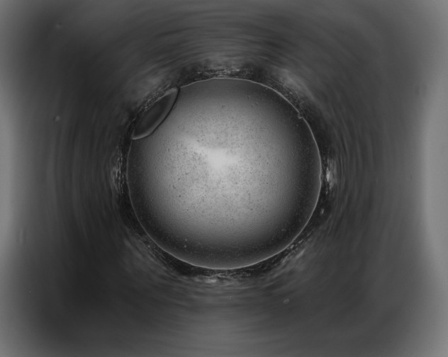 X0000086980867200704161446
