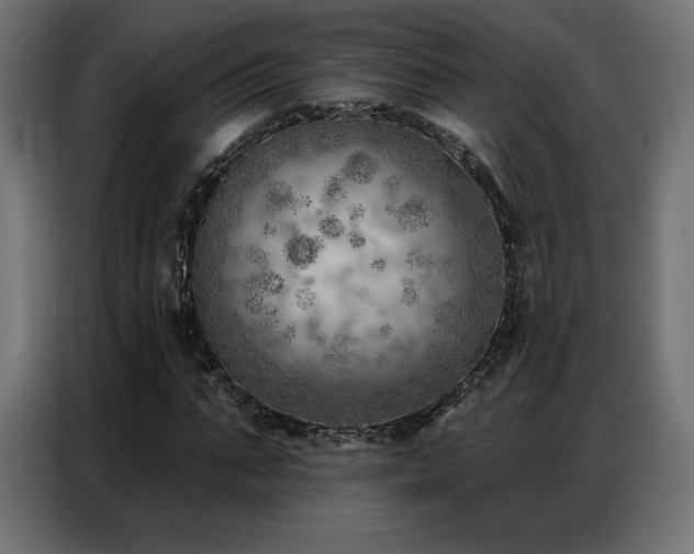 X0000086980871200704161446