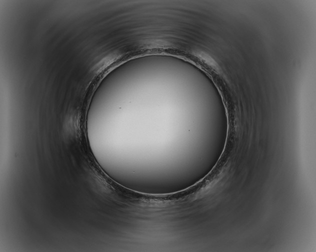 X0000086980873200704161446