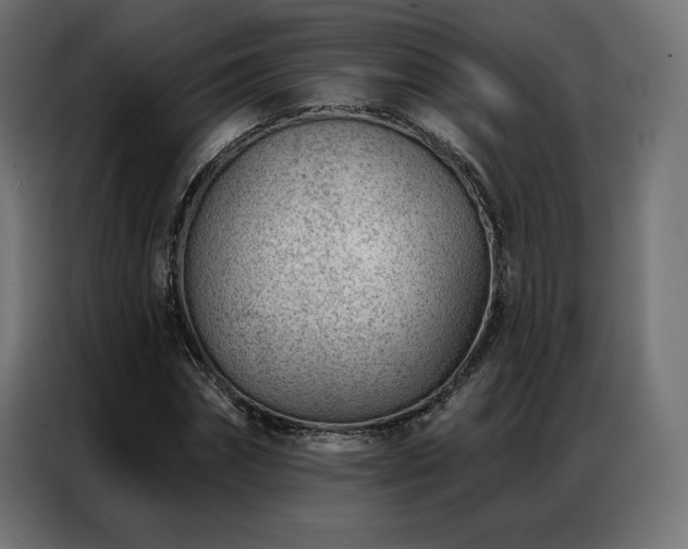 X0000086980874200704161446