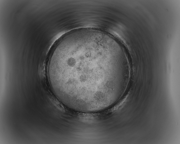 X0000086980875200704161446