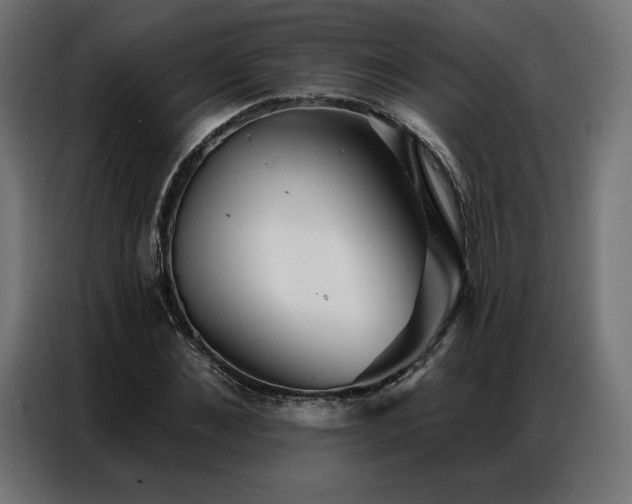 X0000086980876200704161446