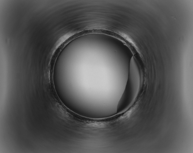 X0000086980877200704161446