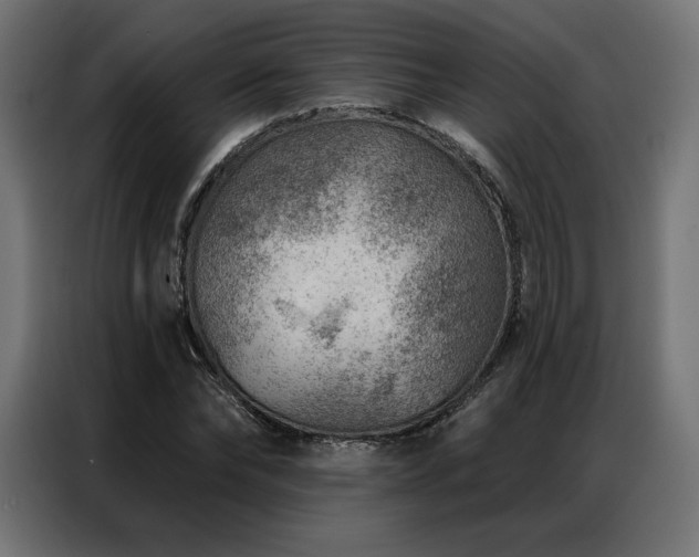 X0000086980878200704161446