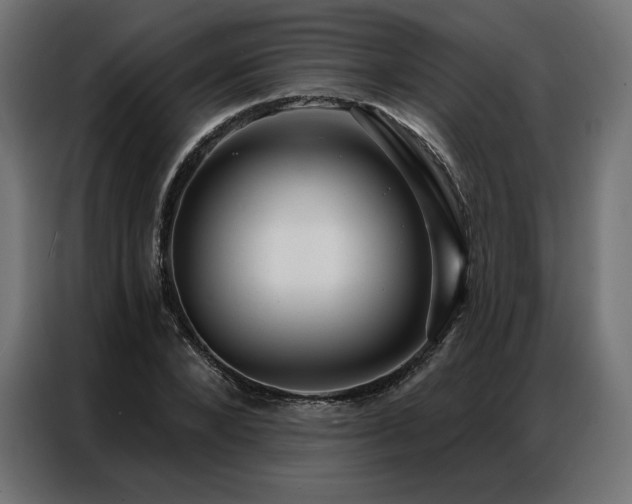 X0000086980880200704161446