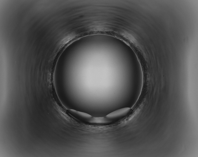 X0000086980881200704161446