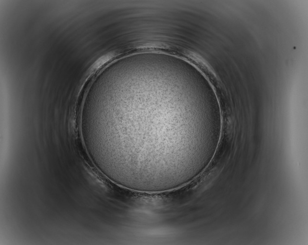 X0000086980882200704161446