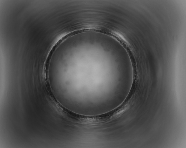 X0000086980883200704161446