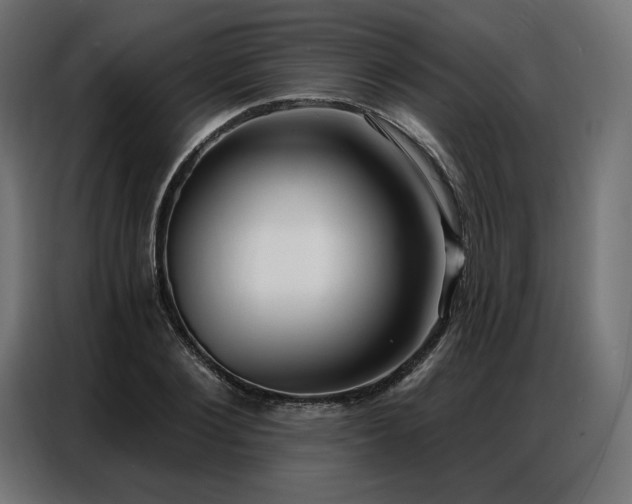 X0000086980884200704161446