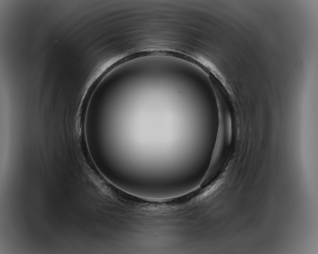 X0000086980885200704161446