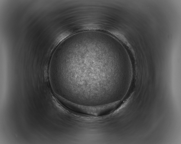 X0000086980889200704161446