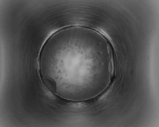 X0000086980891200704161446